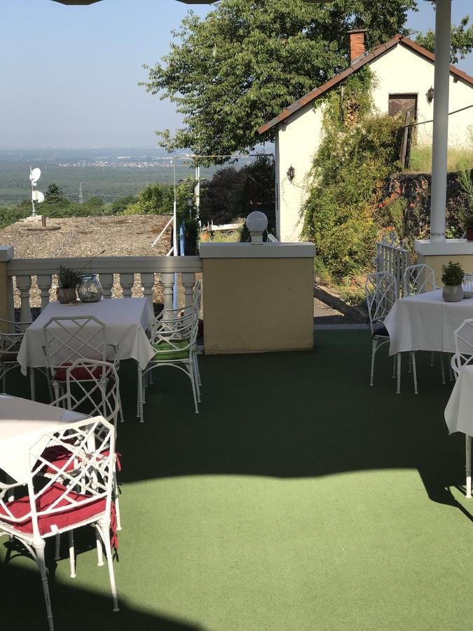 Panorama Hotel Und Restaurant Schlossberg Alzenau in Unterfranken Exterior photo
